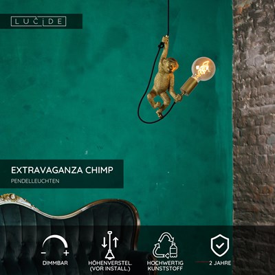 Lucide EXTRAVAGANZA CHIMP - Pendelleuchten - Ø 17,6 cm - 1xE27 - Schwarz